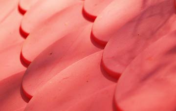 Lenton plastic roof costs