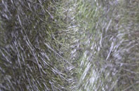 Lenton fibreglass roof work